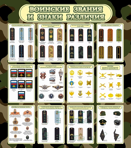 Стенд "Воинские звания и знаки различия" арт. ШК-1607