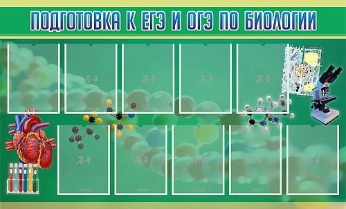 Стенд "Подготовка к ЕГЭ и ОГЭ по биологии" арт. ШК-0715