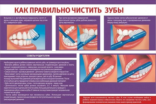 Стенд "Как правильно чистить зубы" арт. МУ-0308