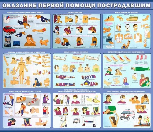 Стенд "Оказание первой помощи пострадавшим" 1.5x1.3 арт. ПО-0086 от Калипсо Стенд "Оказание первой помощи пострадавшим" 1.5x1.3 арт. ПО-0086