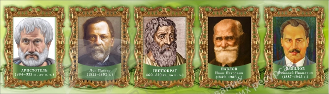 Стенд "Выдающиеся ученые биологи" часть 2 арт. ШК-0757