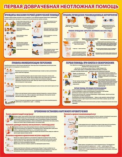 Стенд "Первая доврачебная неотложная помощь" арт. ШК-16114 от Калипсо Стенд "Первая доврачебная неотложная помощь" арт. ШК-16114