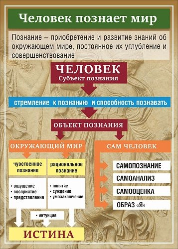 Стенд "Человек познает мир" арт. ВУ-0504