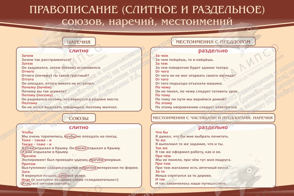 Стенд "Правописание союзов наречий местоимений" арт. ШК-1737