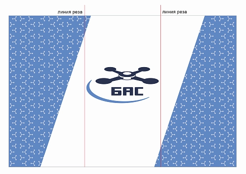 Оформление стены "Беспилотные авиационные системы" арт. БАС-0107