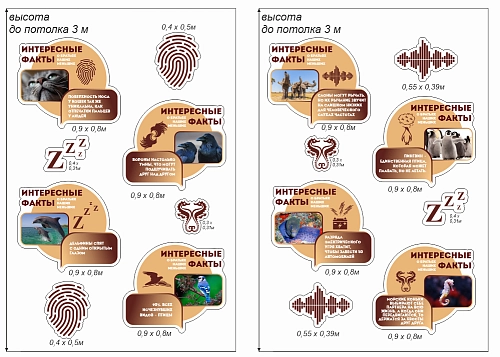 Комплект стендов для кабинета биологии "Интересные факты о животных" арт. шк-3979 от Калипсо Комплект стендов для кабинета биологии "Интересные факты о животных" арт. шк-3979