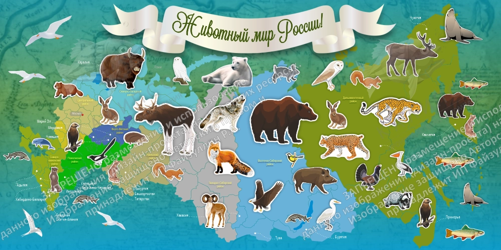 Стенд "Животный мир России" арт. ШК-4028