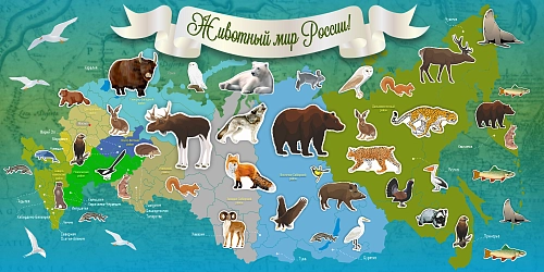 Стенд "Животный мир России" арт. ШК-4028