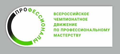 Логотип "Профессионалы" арт. ПР-0106