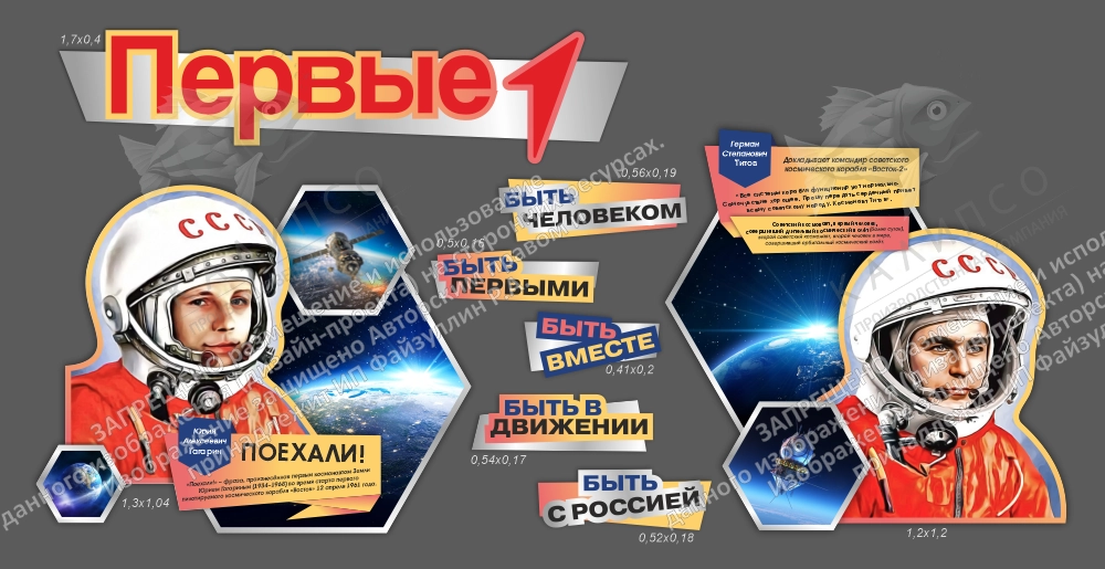 Комплект резных стендов "Первые. Космонавты" арт. ШК-4368