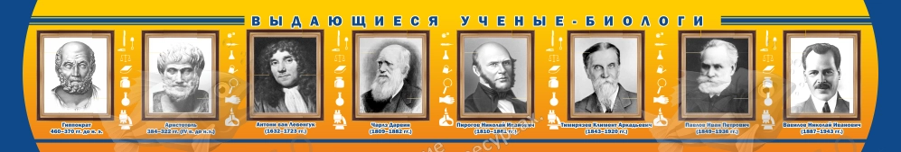 Стенд "Выдающиеся ученые биологи" 3x0.5 арт. ШК-0709