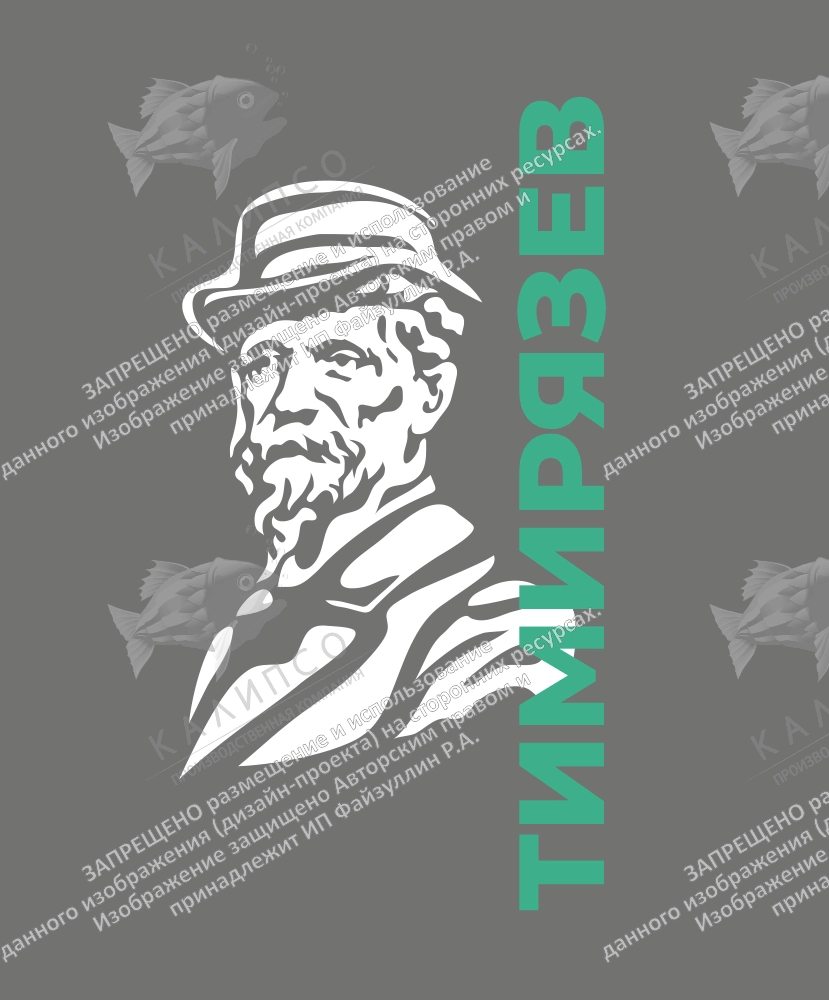 Декоративный элемент "Тимирязев" (наклейка) арт. ПФ-0112