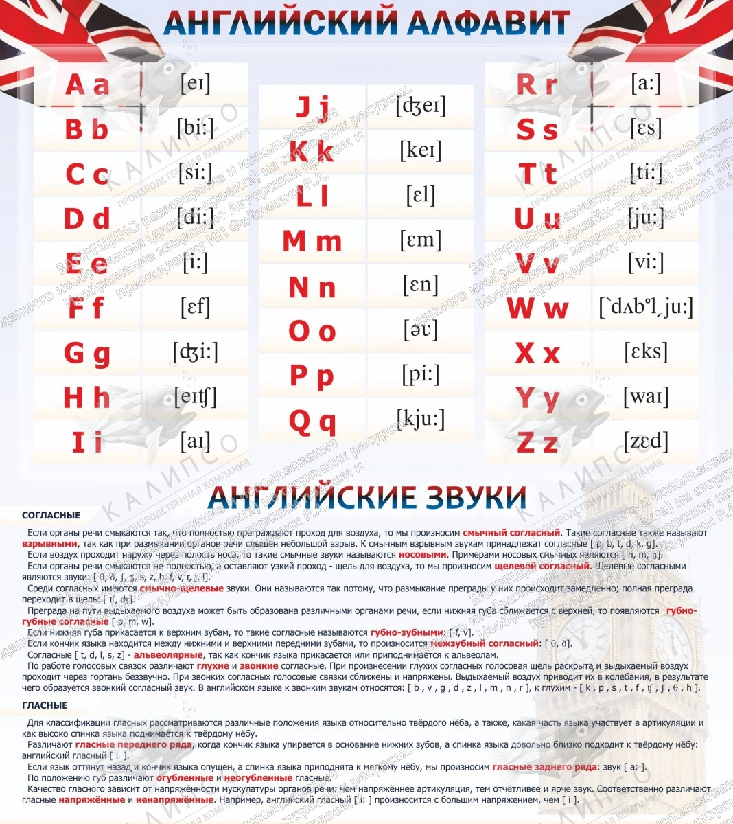 Стенд "Английский алфавит и английские звуки" арт. ШК-0504