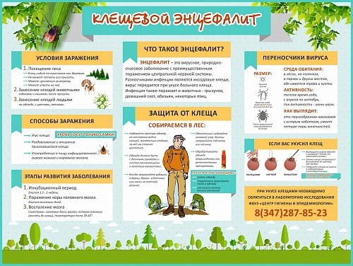Стенд "Клещевой энцефалит" арт. ШК-2729