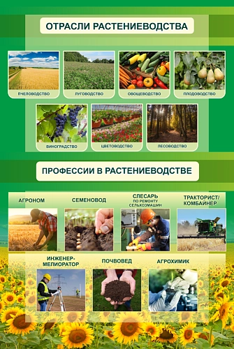 Стенд "Отрасли растениеводства" арт. ШК-4060