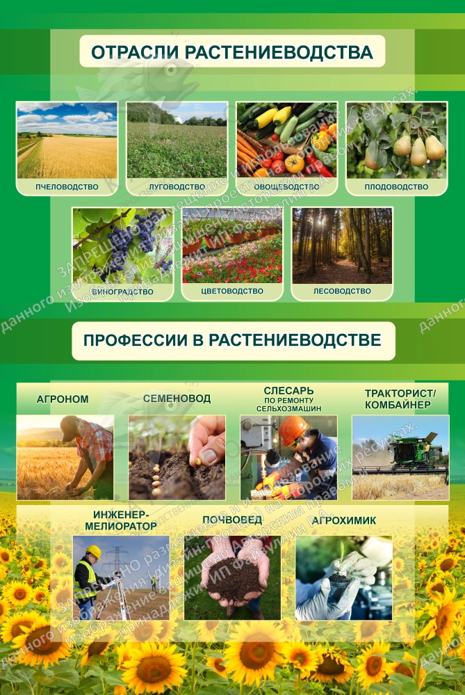 Стенд "Отрасли растениеводства" арт. ШК-4060