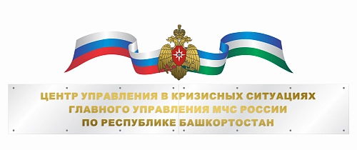 Вывеска с объемными буквами на оргстекле МЧС арт. СО-1008