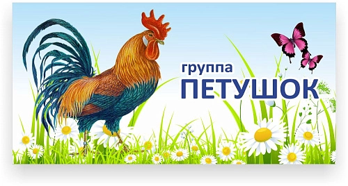 Табличка для группы 0.3x0.15 арт. ДС-0904