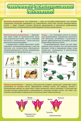 Стенд "Способы размножения растений" арт. ШК-0744