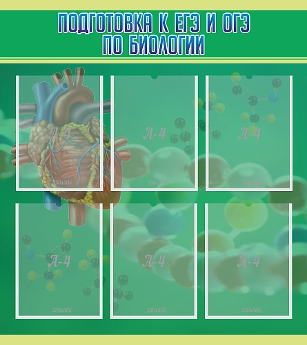 Стенд "Подготовка к ЕГЭ и ОГЭ по биологии" арт. ШК-0714