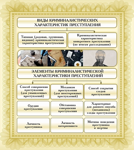 Стенд "Виды криминалистических характеристик преступления" арт. ВУ-0525