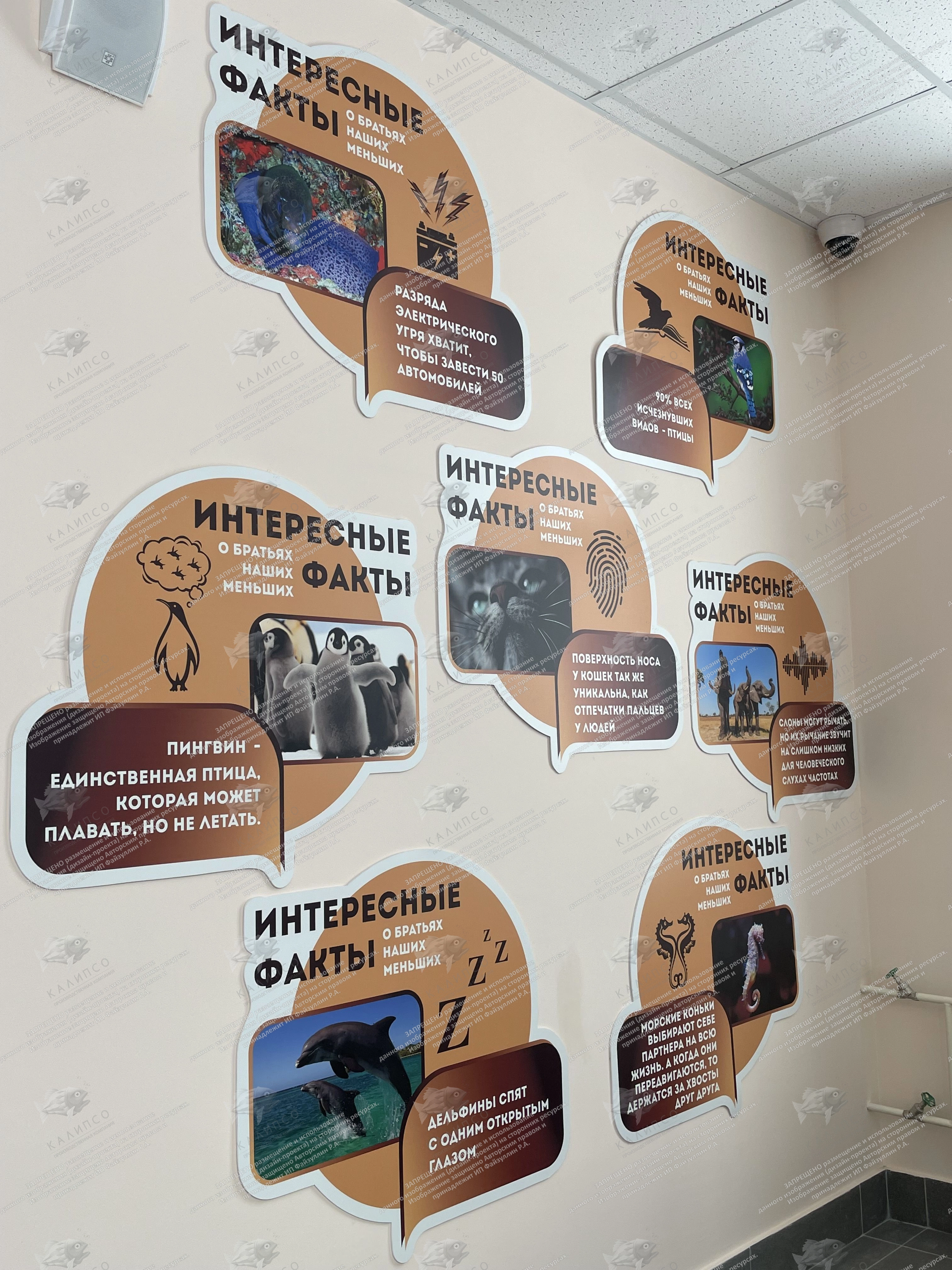 Комплект стендов для кабинета биологии "Интересные факты о животных" арт. шк-3979