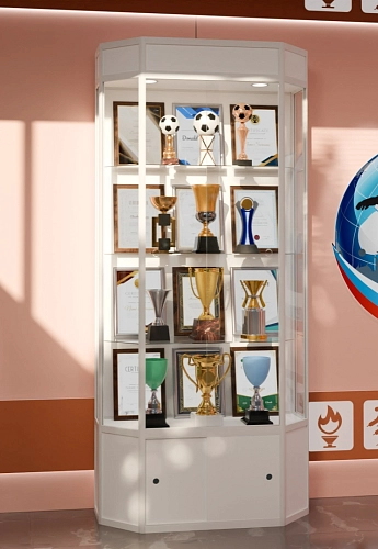 Шестигранная шкаф-витрина с подсветкой, с бронирующей защитной пленкой арт. ШК-3705Б