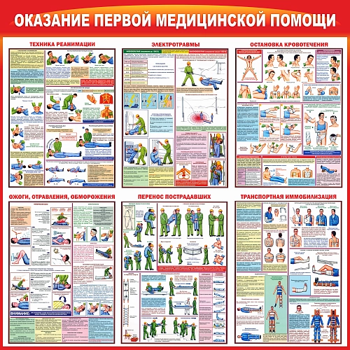 Стенд "Оказание первой помощи пострадавшим" арт. ПО-0053 от Калипсо Стенд "Оказание первой помощи пострадавшим" арт. ПО-0053