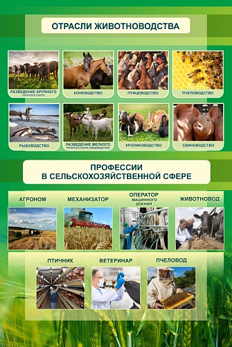 Стенд "Отрасли животноводства" арт. ШК-4043