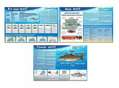 Комплект стендов "Музей лосося" арт. М-0115