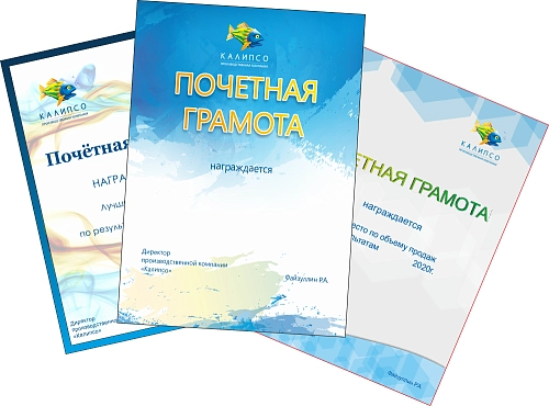 Бланк Дипломы/благодарности арт. СП-10