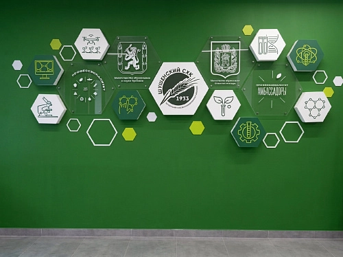 Комплект резных стендов для оформления коридора колледжа, арт. ШК-4683