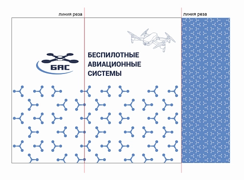 Наклейка "Беспилотные авиационные системы" арт. БАС-0115