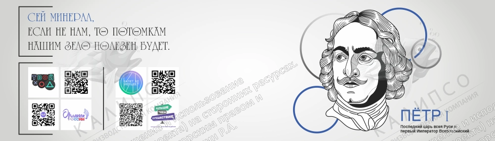 Баннер "Петр I" арт. БН-4213