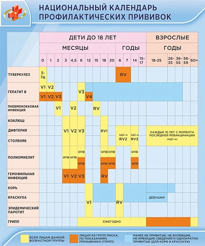 Стенд "Национальный календарь профилактических прививок" арт. МУ-0343
