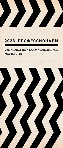 Ролл-ап (roll up) "Профессионалы" арт. ПР-0105