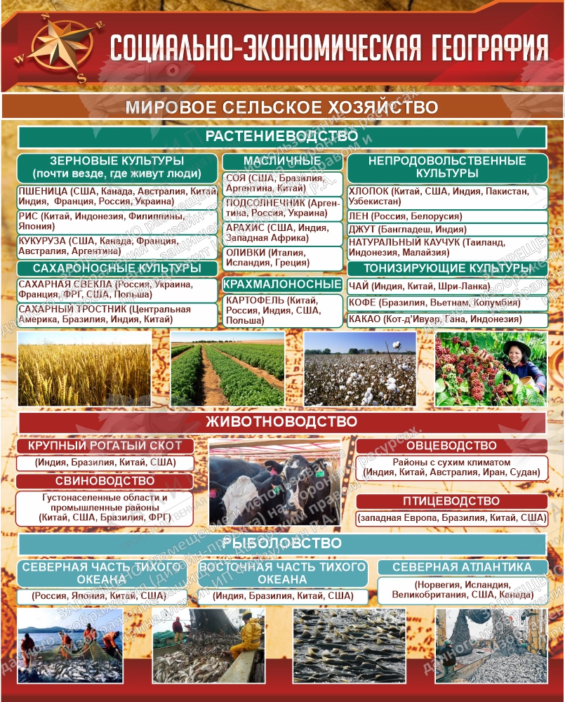 Стенд "Социально-экономическая география Сельское хозяйство" арт. ШК-0830