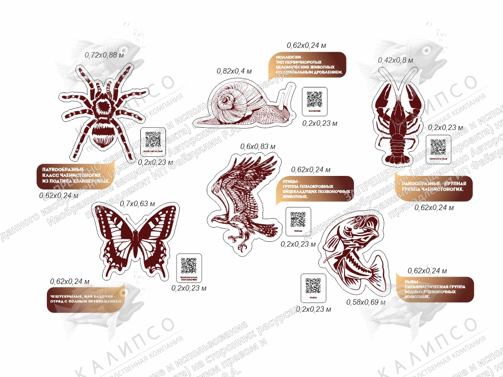 Комплект стендов для кабинета биологии "Классификация животного мира" арт. ШК-3989
