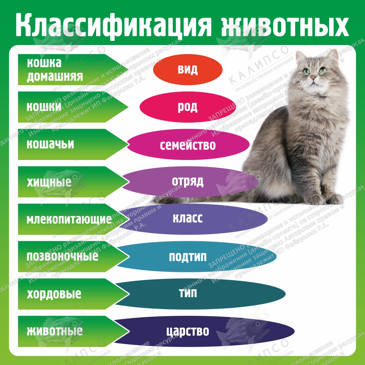 Стенд "Классификация животных" арт. ШК-4338