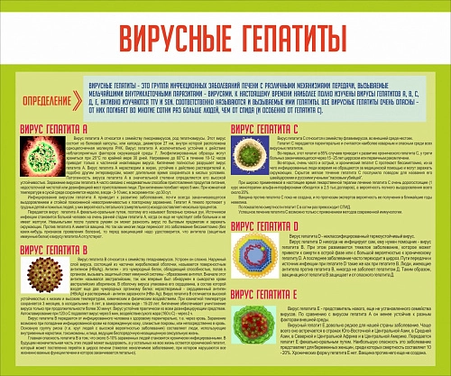 Стенд "Вирусные гепатиты" арт. МУ-0315