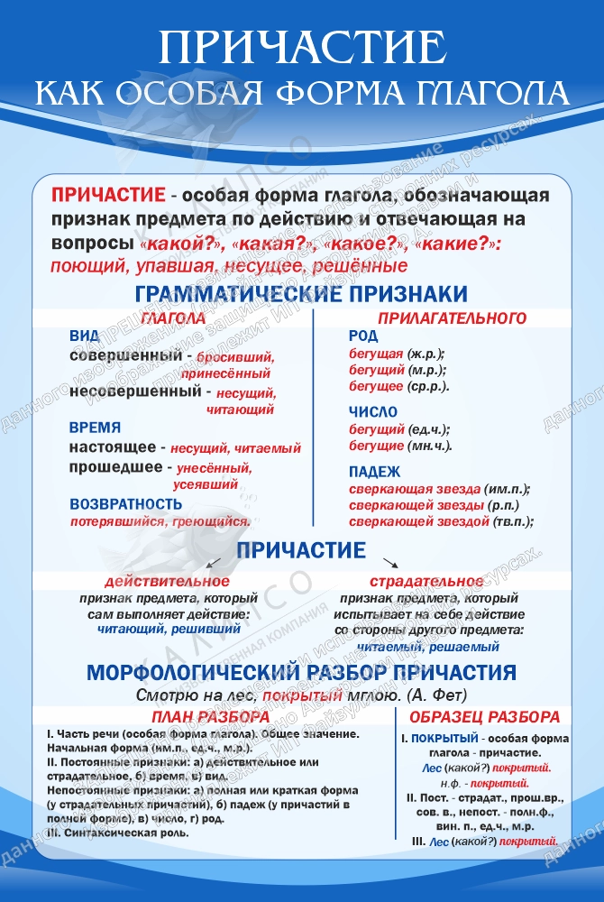 Стенд "Причастие как особая форма глагола" арт. ШК-1762
