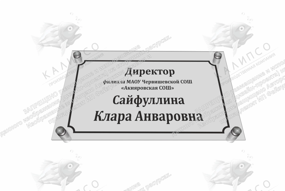 Табличка "Директор"  из оргстекла арт. О-0212