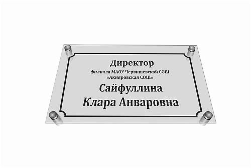 Табличка "Директор"  из оргстекла арт. О-0212