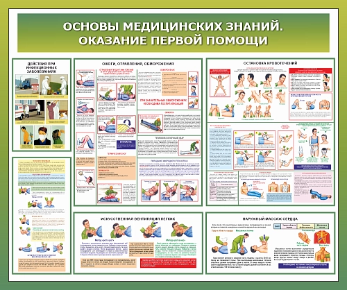 Стенд "Основы медицинских знаний. Оказание первой помощи" арт. ШК-4508
