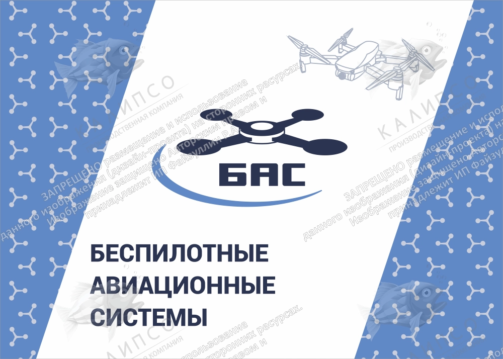 Вывеска на учреждение "Беспилотные авиационные системы" арт. БАС-0103