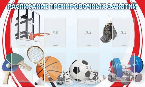 Стенд "Расписание тренировочных занятий" арт. ШК-2904