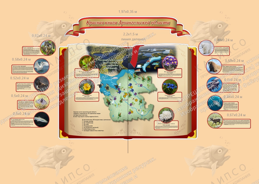Комплект резных стендов "Красная книга Архангельской области", арт. ШК-4682