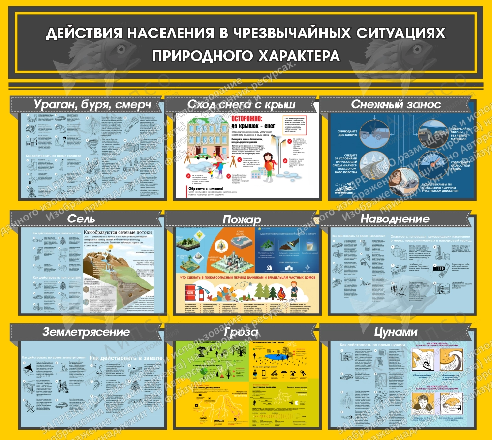 Стенд "Действия населения в ЧС природного характера" арт. ПО-0115