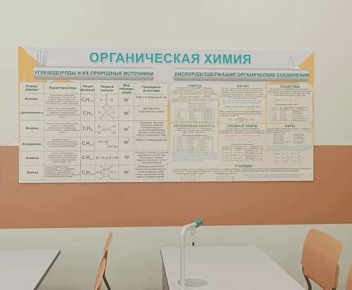 Стенд "Органическая химия" арт. ШК-2313