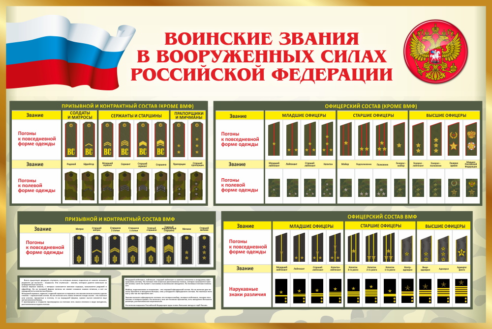 Стенд "Воинские звания в вооруженных силах Российской Федерации"
